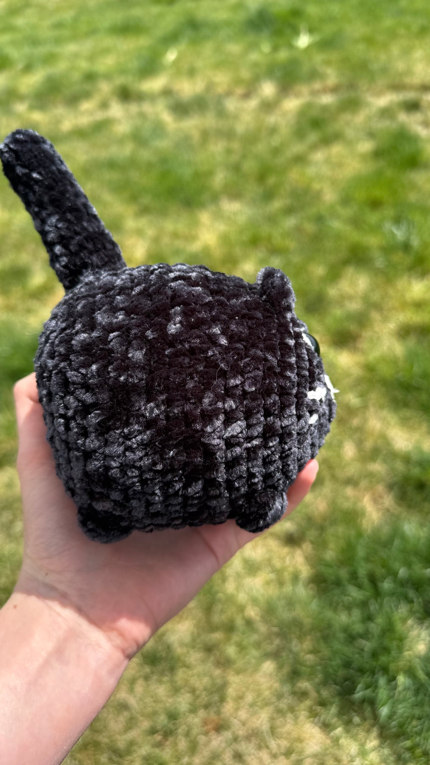 Z- Black Loaf Cat
