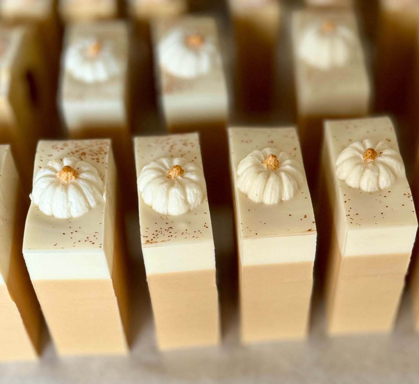 Pumpkin Apple Spice Soap