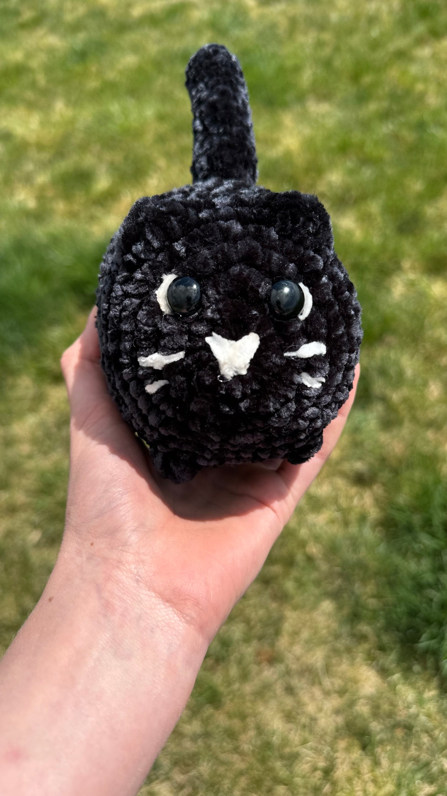 Z- Black Loaf Cat